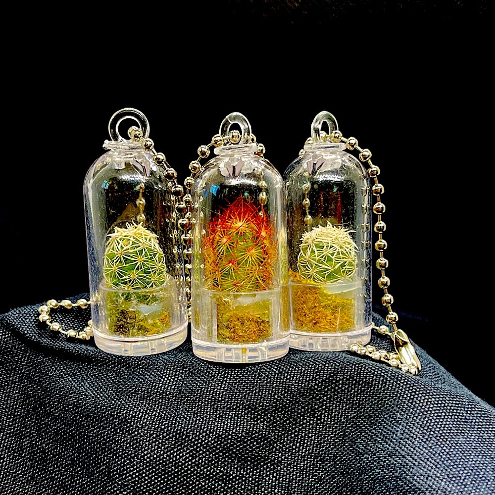 Mini Succulent Boho Keychain